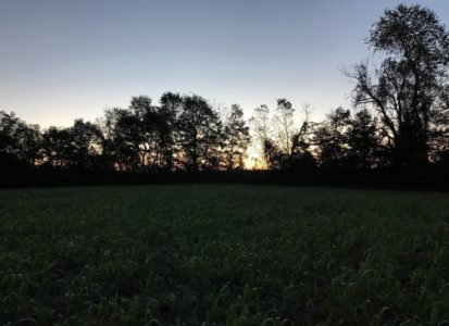early-morning