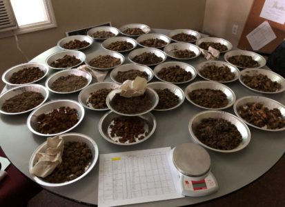 soil on table