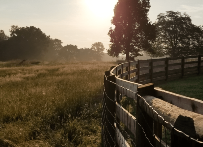 morning_on_the_farm-min