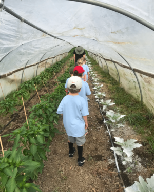 kids-in-high-tunnel