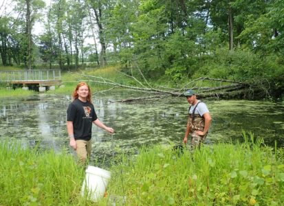 wetland sampling