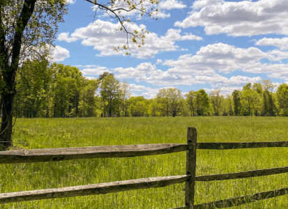 scenery-spring2021