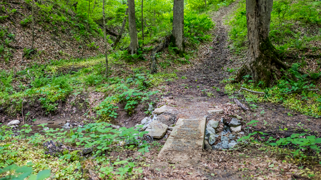 trail