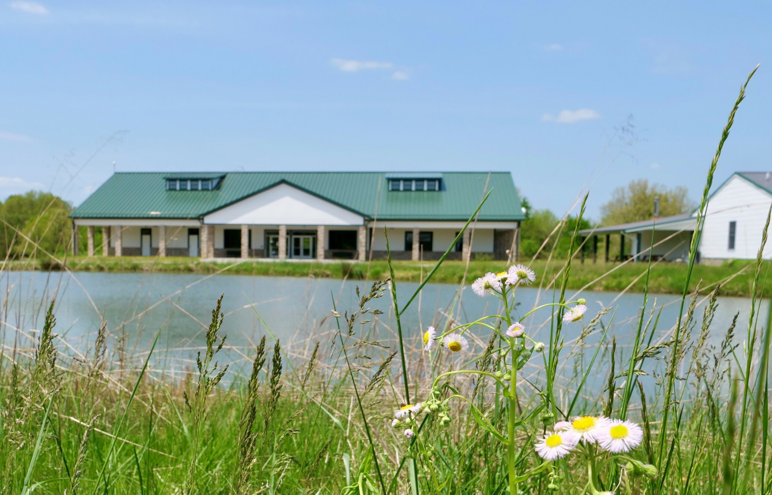 tall grasses and wildflowers in front of pond and educational facility