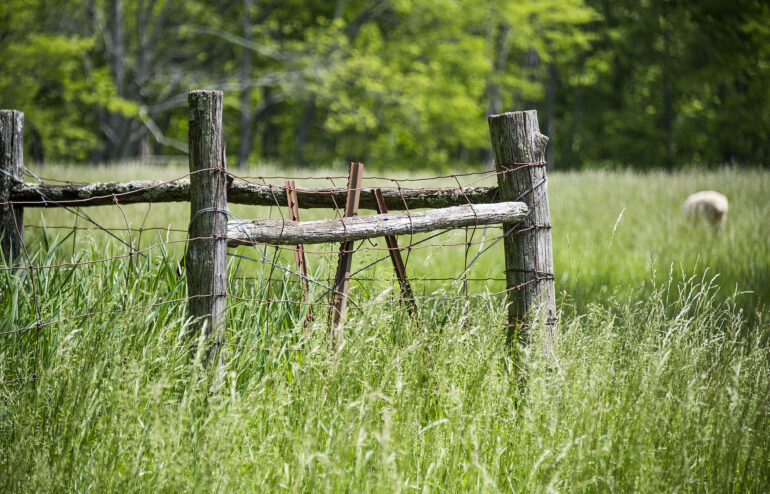 tall grass with wooden and wire fencing