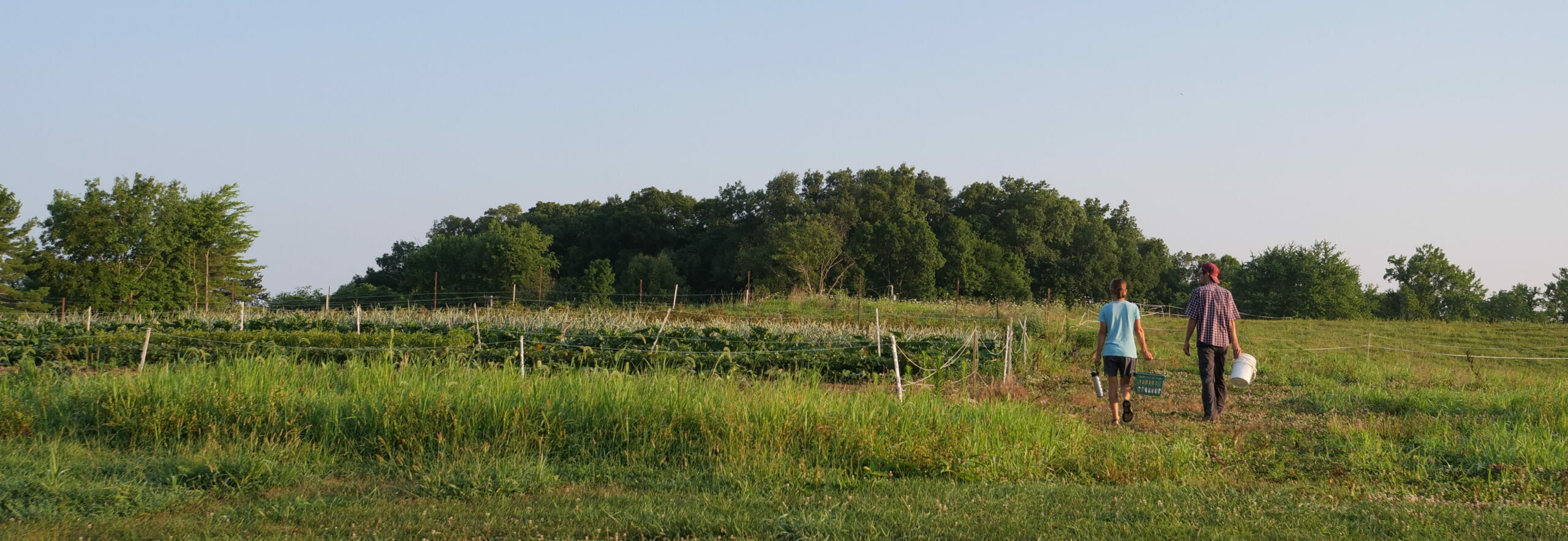 two farmers walking through field with garden on their left