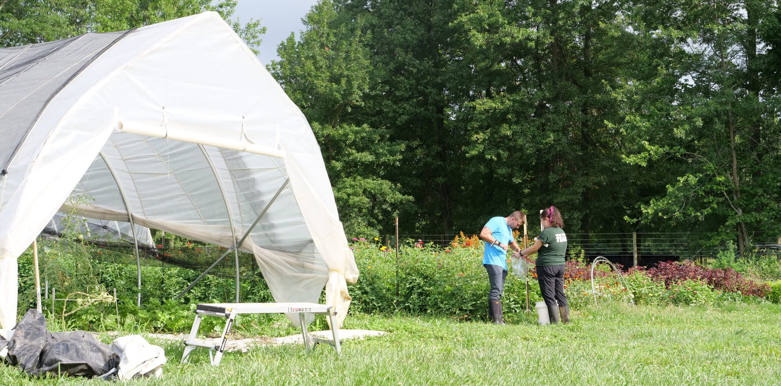 two researchers collecting soil samples in gardens