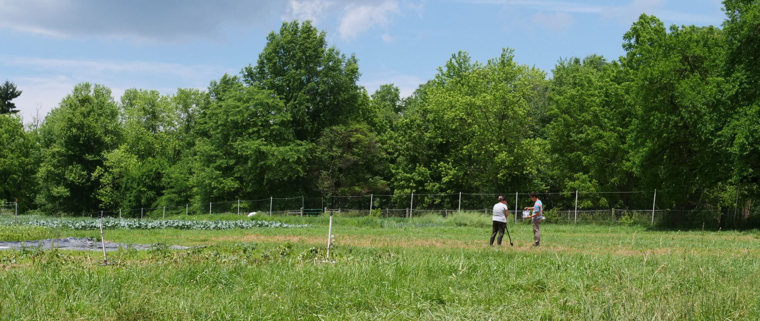 two researchers collecting soil samples