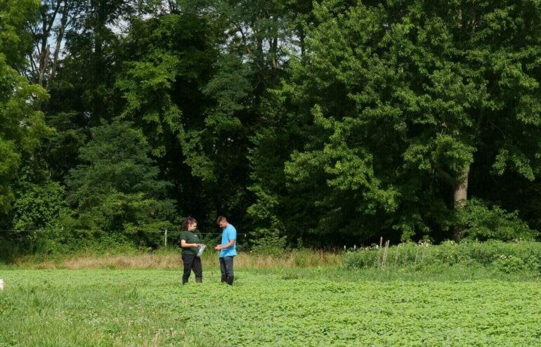 two researchers collecting soil samples