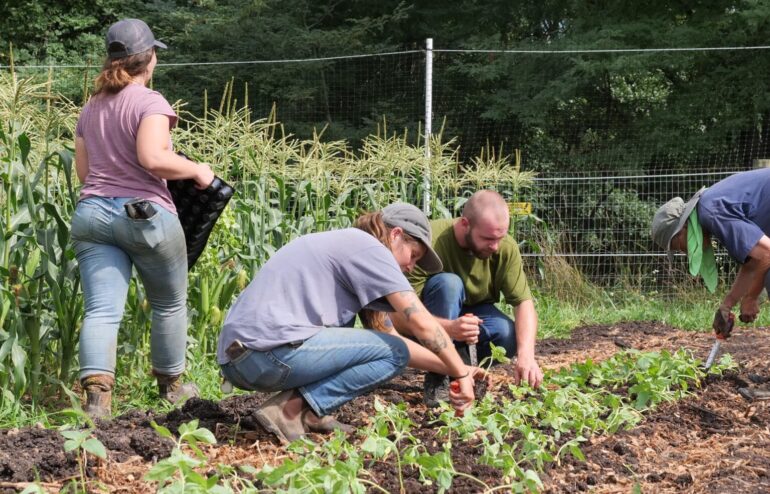 greenacres employees planting in gardens