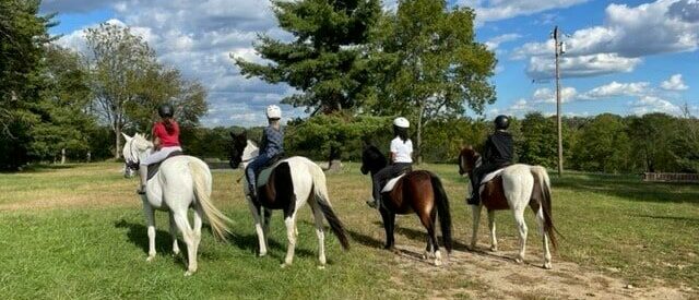 Four young riders on horseback looking out onto jump field