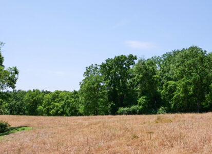 Pasture-conversion