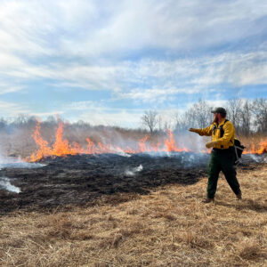 Prescribed fire