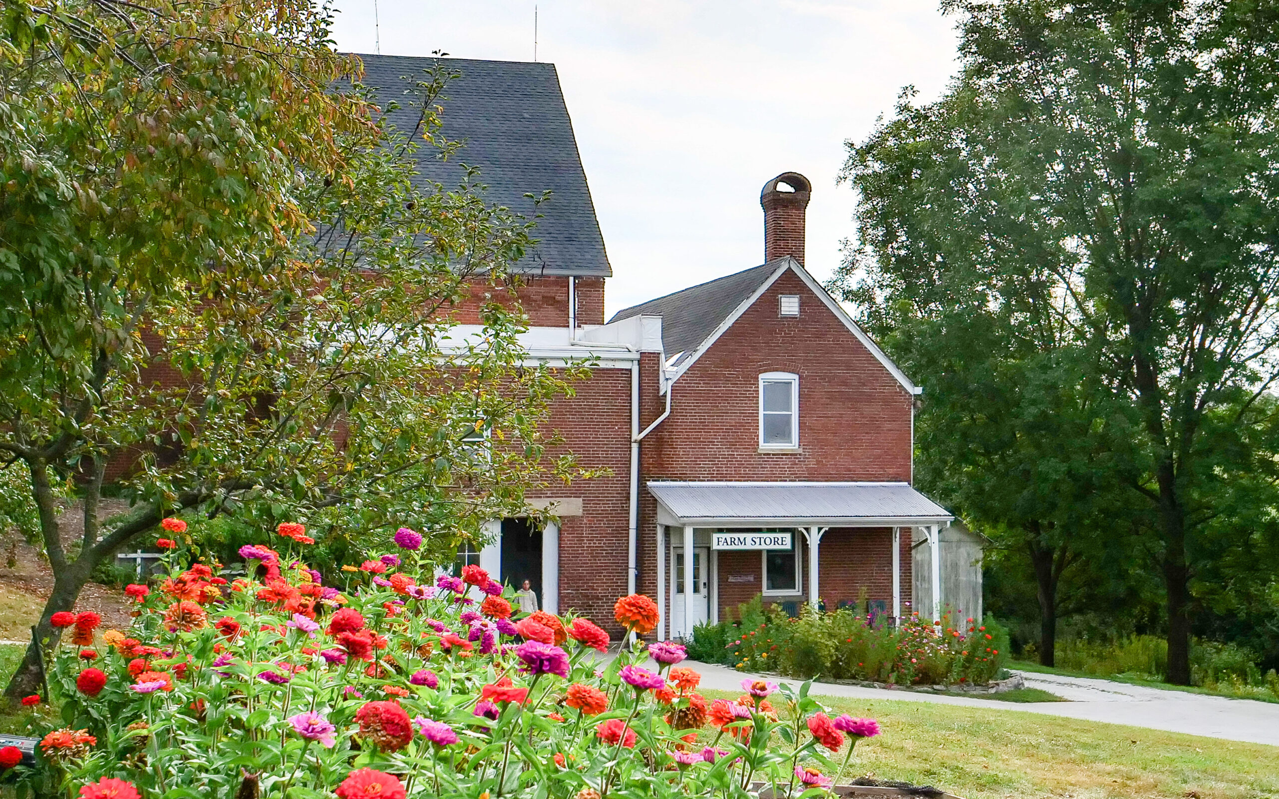 Michaela Farm storefront