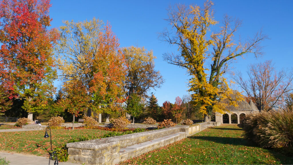 In 2019, the Ohio legislature designated April as Ohio Native Plant Month.