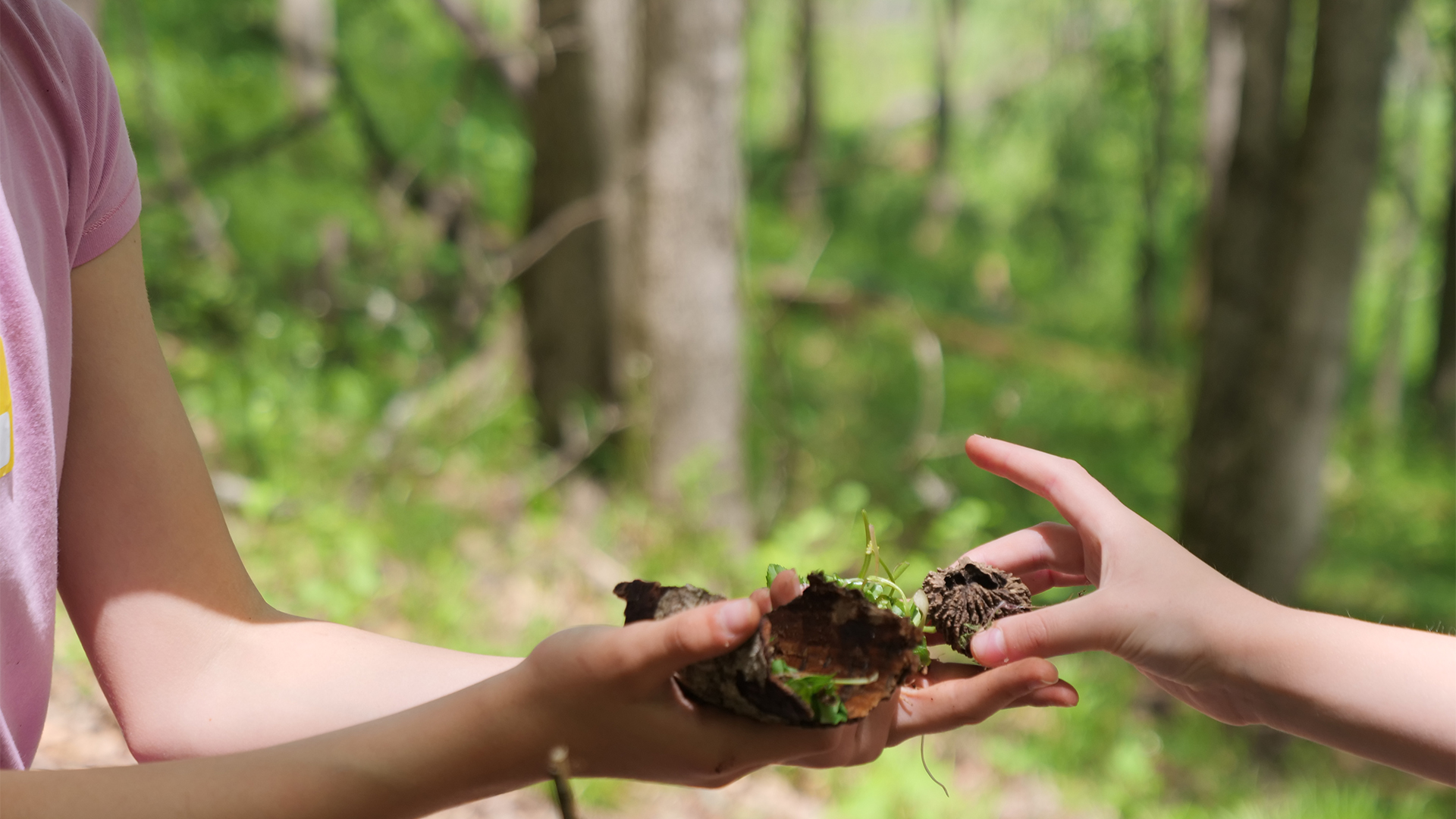 Hands-on sustainability learning in the EcoVillage STEM Program