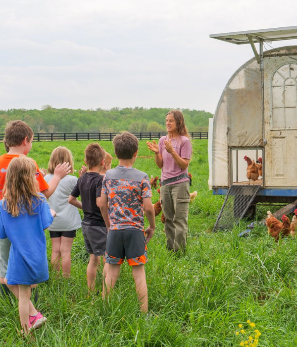 Untitled design - 2025-12-04T135944.776