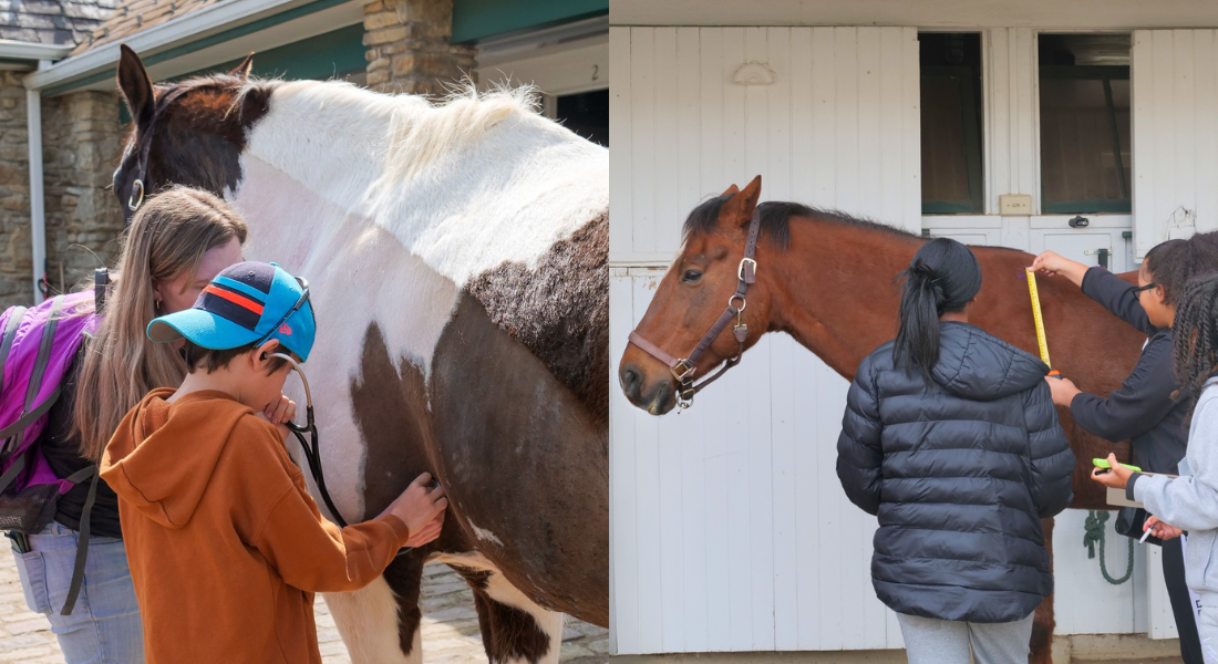 Untitled design - 2025-12-15T142848.698