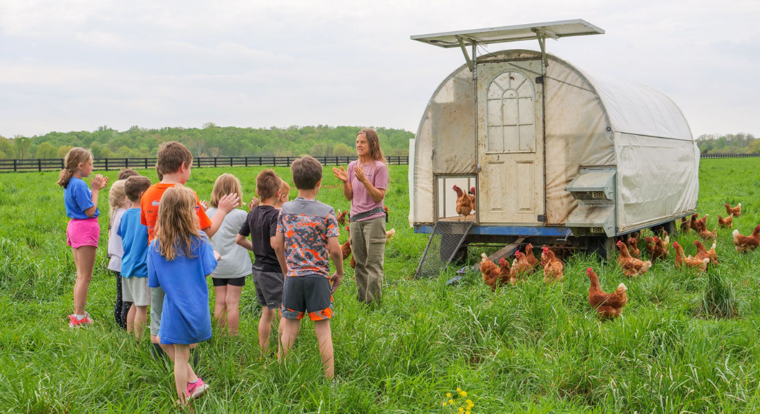 Untitled design - 2025-12-15T142852.519