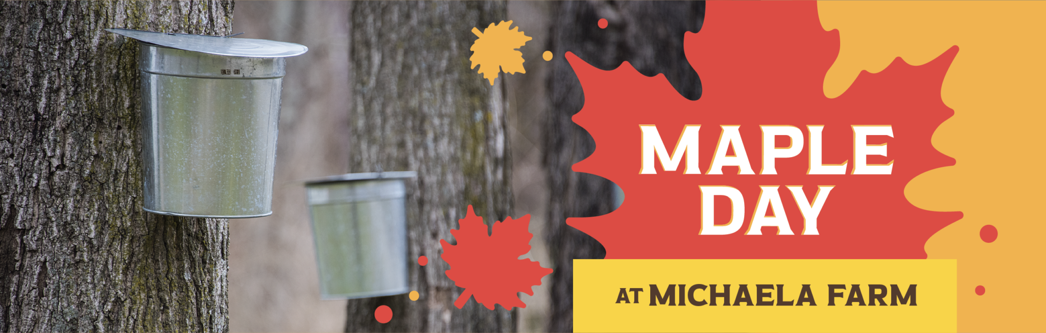 Community Maple Day: Michaela Farm - Greenacres Foundation