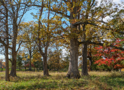 Newsletter - Feature Image