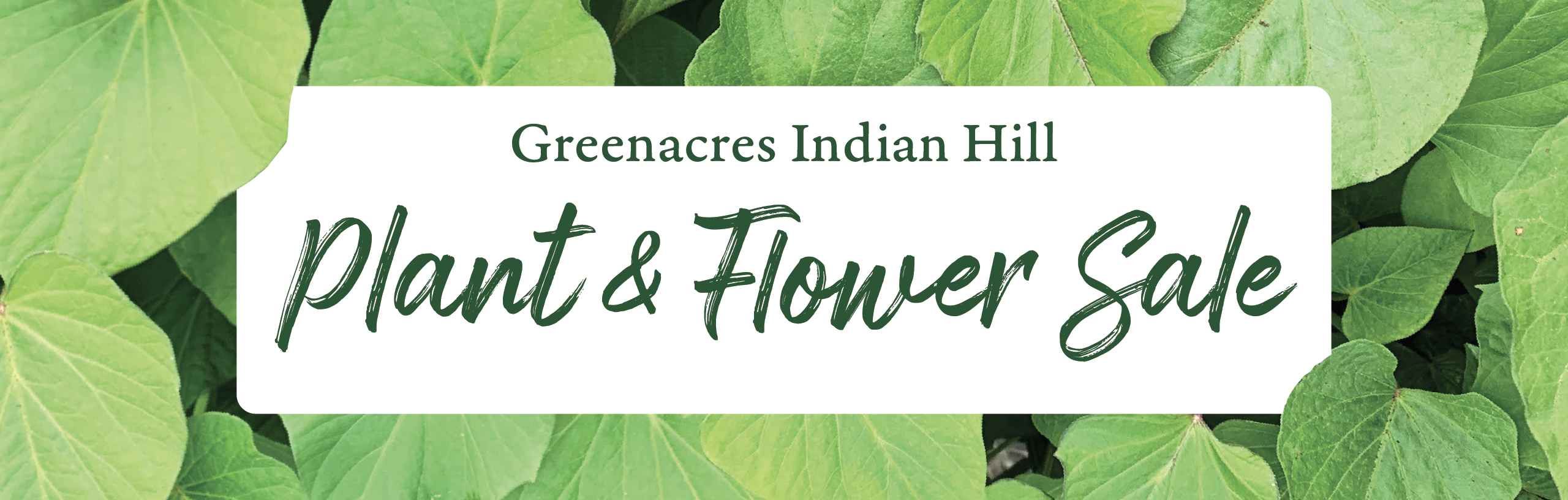 2026_IH_PlantSale_WebHeader_2560x815