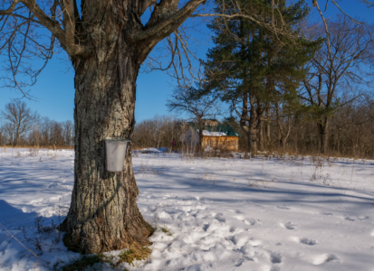 Newsletter - Feature Image (6)